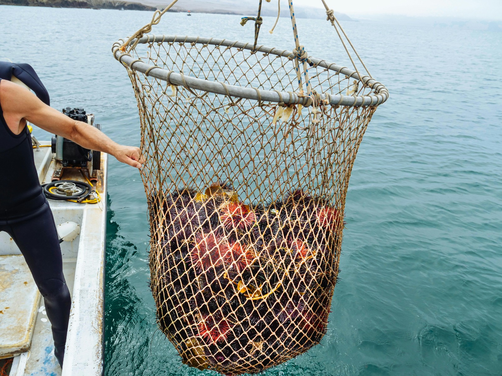 Fly Fishing Bag vs. Backpack: What’s Best for You?