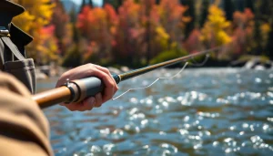 Using the best fly fishing rods, an angler casts dramatically on a beautiful river.